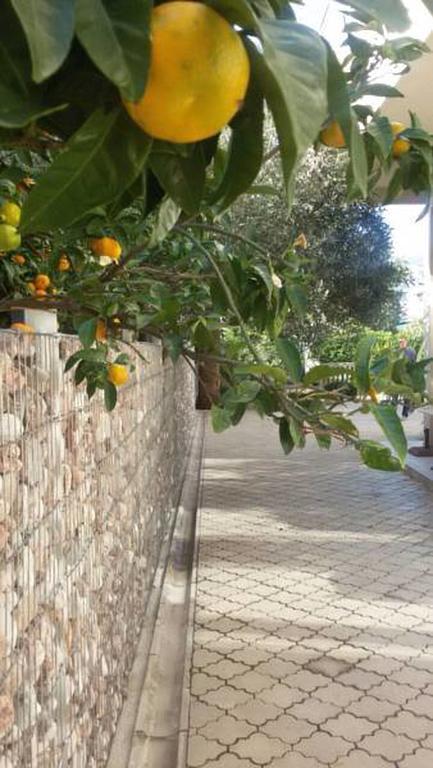 Residence Bella Budva Exterior photo